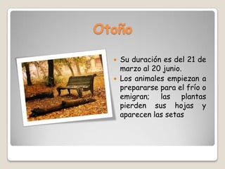 Otoño
 Su duración es del 21 de
marzo al 20 junio.
 Los animales empiezan a
prepararse para el frío o
emigran; las plantas
pierden sus hojas y
aparecen las setas
 