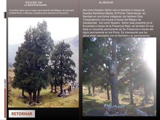 ESTACION XXI
La Señal Permanente
Conchita indica que un signo permanente del Milagro, el cual será
posible filmar o televisar, quedará para siempre en los pinos.
EL MENSAJE
Asi como Nuestro Señor vino a nosotros a traves de
Nuestra Santisima Madre, El Primer Tabernáculo, en
Navidad en una forma milagrosa, asi tambien Dios
Todopoderoso nos tocará a traves del Milagro de
Garabandal. Asi como Nuestro Señor esta presente en la
Eucaristia a traves de la Presencia Real, asi tambien El nos
dará un recuerdo permanente de Su Presencia a traves del
signo permanente en los Pinos. Es interesante que los
pinos estan asociados con la Navidad y su permanencia.
 
 