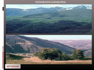 FOTOGRAFIAS GARABANDAL
 