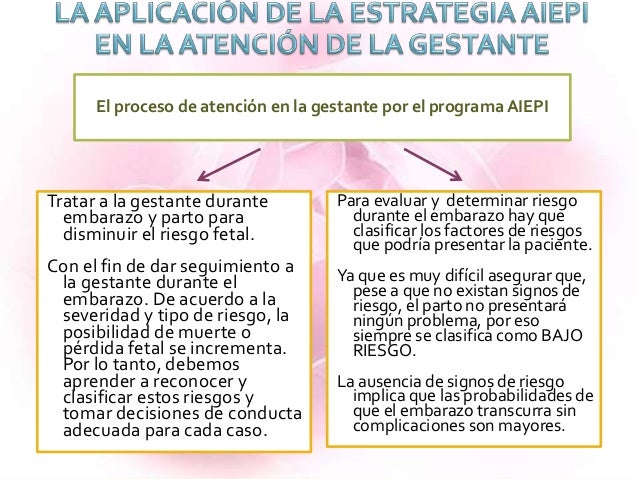 view the brain dead organ donor pathophysiology