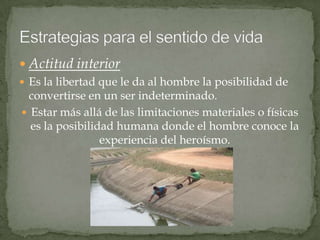 Las Estrat Para El Sentido