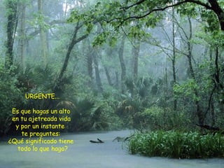 Las Estrat Para El Sentido