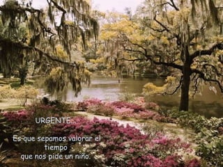 Las Estrat Para El Sentido