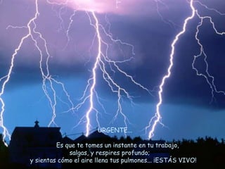 Las Estrat Para El Sentido