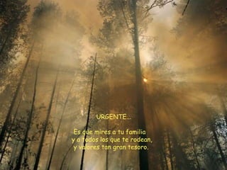 Las Estrat Para El Sentido