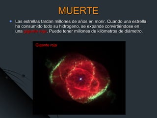 MUERTE Las estrellas tardan millones de años en morir. Cuando una estrella ha consumido todo su hidrógeno, se expande convirtiéndose en una  gigante roja . Puede tener millones de kilómetros de diámetro. Gigante roja 