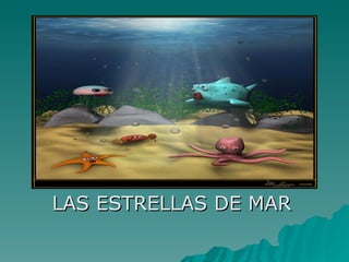 LAS ESTRELLAS DE MAR 