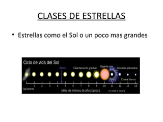 CLASES DE ESTRELLAS
• Estrellas como el Sol o un poco mas grandes