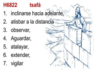 H6822
tsafá
1. inclinarse hacia adelante,
2. atisbar a la distancia
3. observar,
4. Aguardar,
5. atalayar,
6. extender,
7. vigilar

 