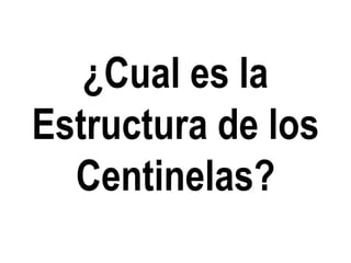 ¿Cual es la
Estructura de los
Centinelas?

 