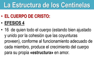 La Estructura de los Centinelas
• EL CUERPO DE CRISTO:
• EFESIOS 4
• 16 de quien todo el cuerpo (estando bien ajustado
y unido por la cohesión que las coyunturas
proveen), conforme al funcionamiento adecuado de
cada miembro, produce el crecimiento del cuerpo
para su propia «estructura» en amor.

 