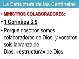 La Estructura de los Centinelas
• MINISTROS COLABORADORES:

• 1 Corintios 3:9
• Porque nosotros somos
colaboradores de Dios, y vosotros
sois labranza de
Dios, «estructura» de Dios.

 