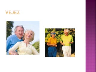 Las etapas de desarrollo humano