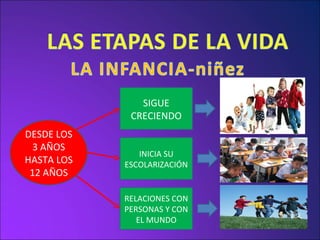 DESDE LOS 3 AÑOS HASTA LOS 12 AÑOS SIGUE CRECIENDO INICIA SU ESCOLARIZACIÓN RELACIONES CON PERSONAS Y CON EL MUNDO 