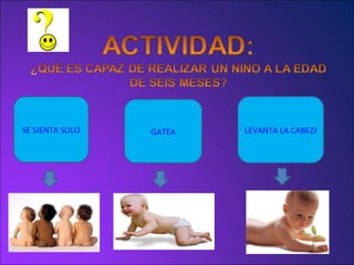 SE SIENTA SOLO GATEA LEVANTA LA CABEZA CUANDO ESTÁ TUMBADO BOCA ABAJO 