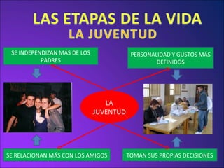 LA JUVENTUD PERSONALIDAD Y GUSTOS MÁS DEFINIDOS TOMAN SUS PROPIAS DECISIONES SE RELACIONAN MÁS CON LOS AMIGOS SE INDEPENDIZAN MÁS DE LOS PADRES 