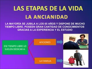 ESE TIEMPO LIBRE LO SUELEN DEDICAR A: AFICIONES LA FAMILIA LA MAYORÍA SE JUBILA A LOS 65 AÑOS Y DISPONE DE MUCHO TIEMPO LIBRE. POSEEN GRAN CANTIDAD DE CONOCIMIENTOS  GRACIAS A LA EXPERIENCIA Y EL ESTUDIO 