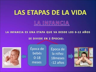 Época de bebés 0-18 meses  Época de la niñez 18meses-12 años 