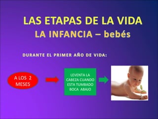 A LOS  2 MESES LEVENTA LA CABEZA CUANDO ESTA TUMBADO BOCA  ABAJO 