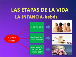A LOS 6 MESES COJE OBJETOS CON LA MANO SE SIENTA SOLO EXPLORACIÓN DE OBJETOS CON LA BOCA 
