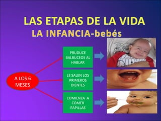 A LOS 6 MESES PRUDUCE BALBUCEOS AL HABLAR LE SALEN LOS PRIMEROS DIENTES COMIENZA  A COMER PAPILLAS 