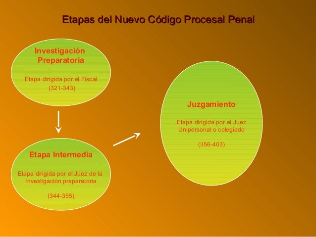 Teoria De La Prueba En El Nuevo Codigo Procesal Penal