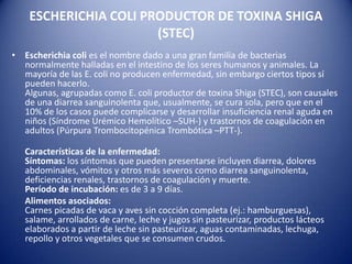 ESCHERICHIA COLI PRODUCTOR DE TOXINA SHIGA (STEC) Escherichia coli es el nombre dado a una gran familia de bacterias normalmente halladas en el intestino de los seres humanos y animales. La mayoría de las E. coli no producen enfermedad, sin embargo ciertos tipos sí pueden hacerlo. Algunas, agrupadas como E. coli productor de toxina Shiga (STEC), son causales de una diarrea sanguinolenta que, usualmente, se cura sola, pero que en el 10% de los casos puede complicarse y desarrollar insuficiencia renal aguda en niños (Síndrome Urémico Hemolítico –SUH-) y trastornos de coagulación en adultos (Púrpura Trombocitopénica Trombótica –PTT-).     Características de la enfermedad:Síntomas: los síntomas que pueden presentarse incluyen diarrea, dolores abdominales, vómitos y otros más severos como diarrea sanguinolenta, deficiencias renales, trastornos de coagulación y muerte.Período de incubación: es de 3 a 9 días.      Alimentos asociados:Carnes picadas de vaca y aves sin cocción completa (ej.: hamburguesas), salame, arrollados de carne, leche y jugos sin pasteurizar, productos lácteos elaborados a partir de leche sin pasteurizar, aguas contaminadas, lechuga, repollo y otros vegetales que se consumen crudos.