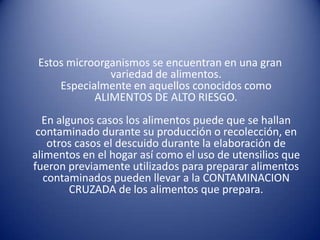 Estos microorganismos se encuentran en una gran variedad de alimentos. Especialmente en aquellos conocidos como ALIMENTOS DE ALTO RIESGO.En algunos casos los alimentos puede que se hallan contaminado durante su producción o recolección, en otros casos el descuido durante la elaboración de alimentos en el hogar así como el uso de utensilios que fueron previamente utilizados para preparar alimentos contaminados pueden llevar a la CONTAMINACION CRUZADA de los alimentos que prepara. 
