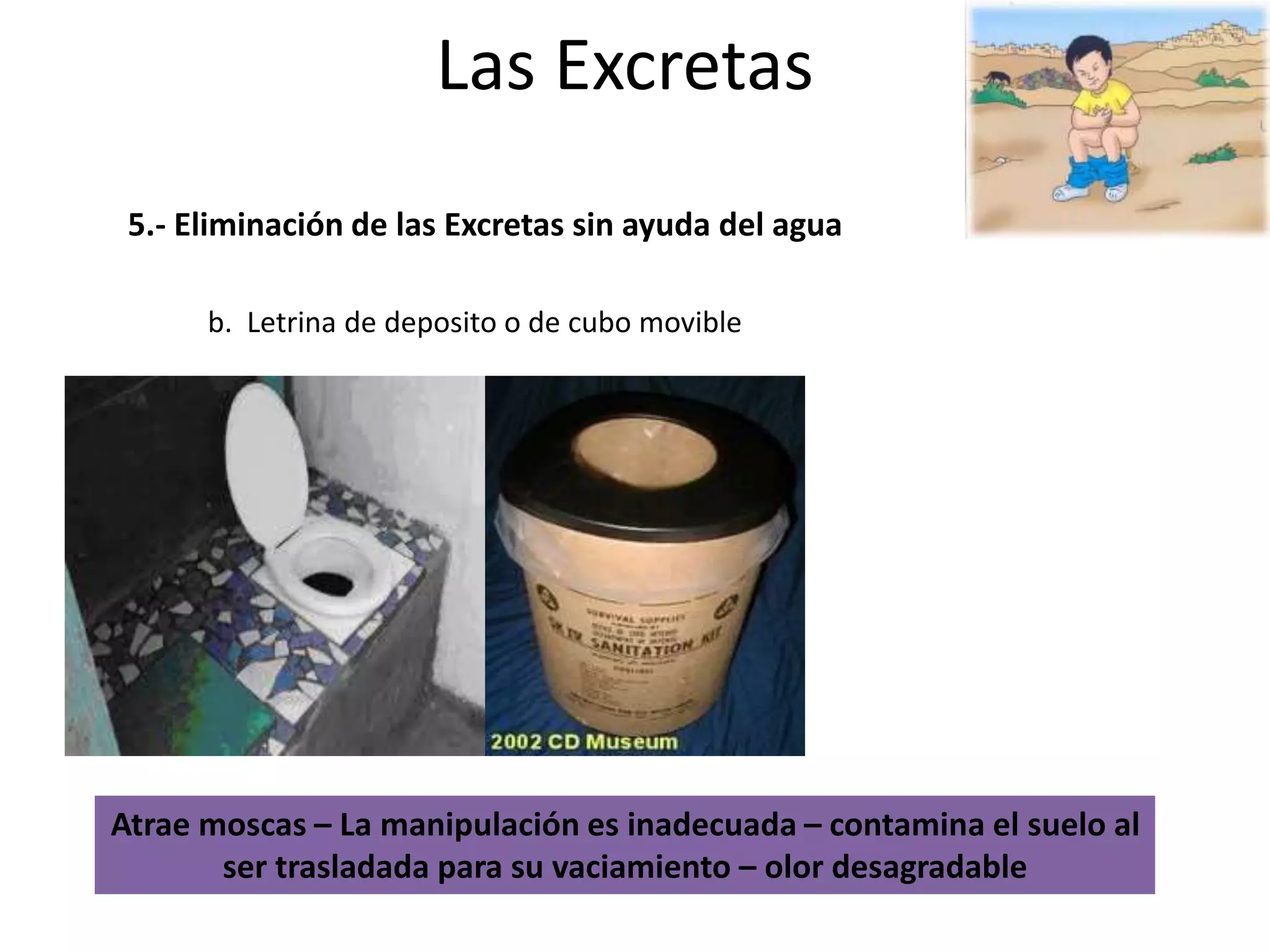 Las excretas | PPTX