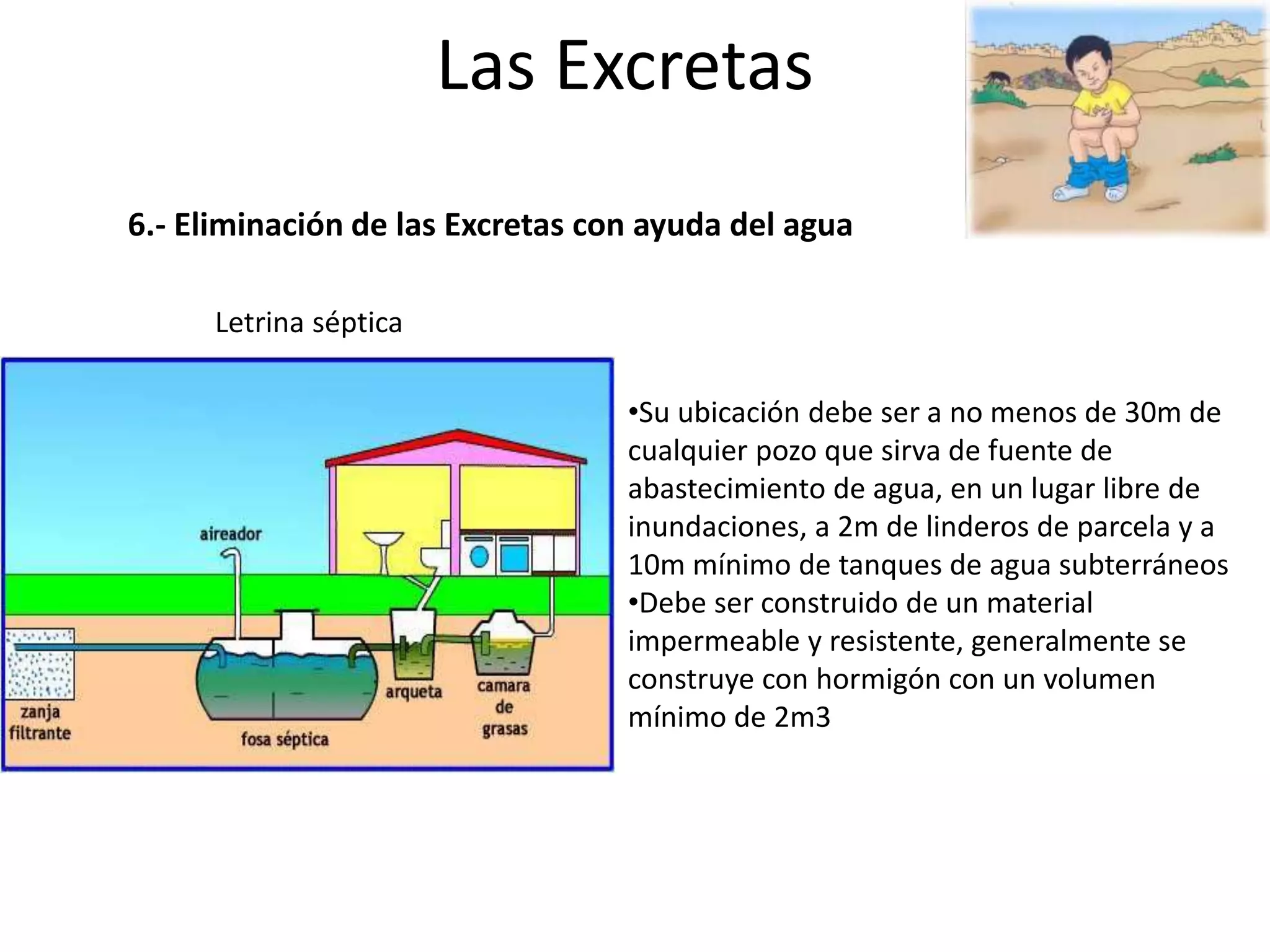 Las excretas | PPTX