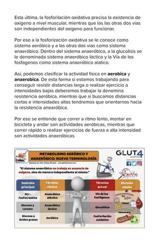 Esta última, la fosforilación oxidativa precisa la existencia de
oxigeno a nivel muscular, mientras que las las otras dos vías
son independientes del oxigeno para funcionar.
Por eso a la fosforización oxidativa se le conoce como
sistema aeróbico y a las otras dos vias como sistema
anaeróbico. Dentro del sistema anaeróbico, a la glucolisis se
le denominada sistema anaeróbico láctico y la Vía de los
fosfagenos como sistema anaeróbico alatico.
Así, podemos clasificar la actividad física en aerobica y
anaerobica. De esta forma si estamos trabajando para
conseguir resistir distancias larga o realizar ejercicio a
intensidades bajas deberemos trabajar la denomina
resistencia aeróbica, mientras que si buscamos distancias
cortas e intensidades altas tendremos que orientarnos hacia
la resistencia anearóbica.
Por eso se entiende que correr a ritmo lento, montar en
bicicleta y andar son actividades aeróbicas, mientras que
correr rápido o realizar ejercicios de fuerza a alta intensidad
son actividades anaeróbicas.
 