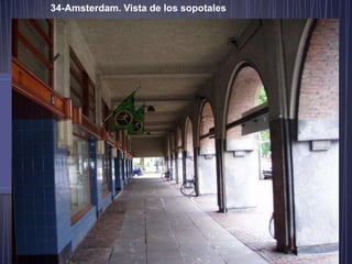 34-Amsterdam. Vista de los sopotales
 