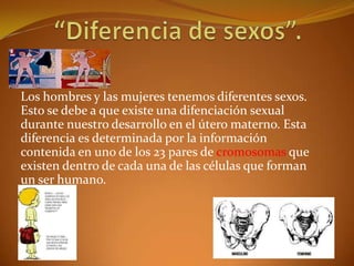 Los hombres y las mujeres tenemos diferentes sexos.
Esto se debe a que existe una difenciación sexual
durante nuestro desarrollo en el útero materno. Esta
diferencia es determinada por la información
contenida en uno de los 23 pares de cromosomas que
existen dentro de cada una de las células que forman
un ser humano.
 