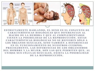 E S T R I C T A M E N T E H A B L A N D O , E L S E X O E S E L C O N J U N T O D E
C A R A C T E R Í S T I C A S B I O L Ó G I C A S Q U E D I F E R E N C I A N A L
M A C H O D E L A H E M B R A Y Q U E A L C O M P L E M E N T A R S E
T I E N E N L A P O S I B I L I D A D D E L A R E P R O D U C C I Ó N . E S T A S
C A R A C T E R Í S T I C A S B I O L Ó G I C A S N O S E R E F I E R E N S Ó L O A
L O S Ó R G A N O S S E X U A L E S , S I N O T A M B I É N A D I F E R E N C I A S
E N E L F U N C I O N A M I E N T O D E N U E S T R O S C U E R P O S .
P R E C I S A M E N T E , L A S D I F E R E N C I A S D E L O S O R G A N I S M O S
D E L H O M B R E Y L A M U J E R , S O N L A S Q U E P E R M I T E N Q U E , A L
U N I R S E S U S C É L U L A S S E X U A L E S , E X I S T A L A P O S I B I L I D A D
D E L A R E P R O D U C C I Ó N .
 