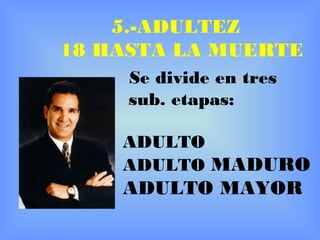 5.-ADULTEZ 18 HASTA LA MUERTE Se divide en tres  sub. etapas: ADULTO ADULTO  MADURO ADULTO MAYOR 