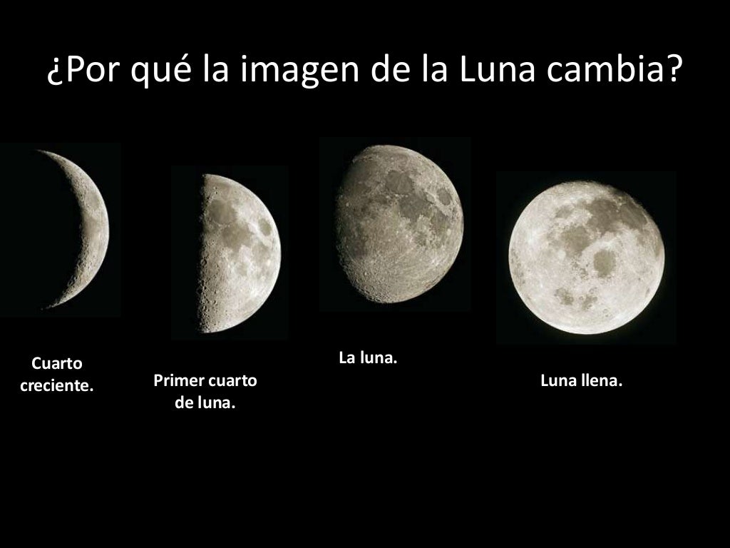 Las fases de la luna
