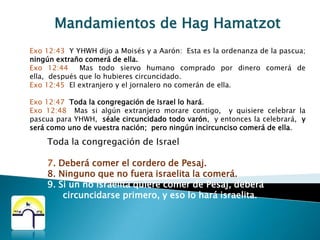 Mandamientos de HagHamatzotExo 12:42 Esta es la noche y la vigilia en honor de YHWH que sacó a Israel del país de Egipto. Esta noche es para YHWH, y los hijos de Israel la pasarán velando, año tras año, perpetuamente.Deu 16:5 No podrás sacrificar la Pascua en ninguna de las ciudades que Adonai tu Di-s te da,Deu 16:6 sino que sólo en el lugar elegido por Adonai tu Di-s para morada de su nombre, sacrificarás la Pascua, por la tarde a la puesta del sol, hora en que saliste de Egipto.Deu 16:7 La cocerás y la comerás en el lugar elegido por Adonai tu Di-s, y a la mañana siguiente te volverás y marcharás  a tus tiendas.6. Hacer Vigilia por la noche.
