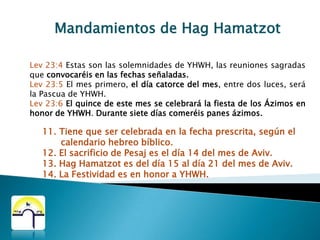 Mandamientos de HagHamatzotExo 13:9  Y te será como una señal (ot) sobre tu mano,  y como un memorial (tzicrón) delante de tus ojos,  para que la ley de YHWH esté en tu boca;  por cuanto con mano fuerte te sacó YHWH de Egipto.Exo 13:10  Por tanto,  tú guardarás este rito en su tiempo de año en año.  Exo13:16  Te será,  pues,  como una señal sobre tu mano,  y por un memorial delante de tus ojos,  por cuanto YHWH nos sacó de Egipto con mano fuerte.10.  Usar Tefilim, en esos días específicamente.
