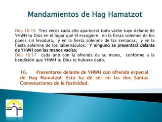 Mandamientos de HagHamatzotExo 12:8 En aquella misma noche comerán la carne. La comerán asada al fuego, con ázimos y con hierbas amargas. 15.  Comer hierbas amargas en el seder.