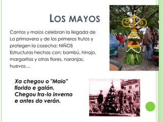 Los mayosCantos y maios celebran la llegada de La primavera y de los primeros frutos y protegen la cosecha: NIÑOSEstructuras hechas con: bambú, hinojo, margaritas y otras flores, naranjas, huevos…Xa chegou o "Maio"florido e galán.Chegou tra-lo invernoe antes do verán.