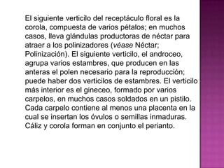 Vertificilo Las flores | PPSX
