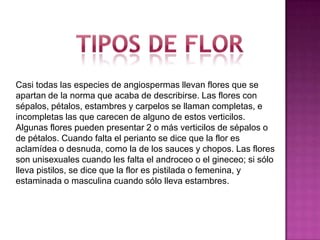 Tipos de florCasi todas las especies de angiospermas llevan flores que se apartan de la norma que acaba de describirse. Las flores con sépalos, pétalos, estambres y carpelos se llaman completas, e incompletas las que carecen de alguno de estos verticilos. Algunas flores pueden presentar 2 o más verticilos de sépalos o de pétalos. Cuando falta el perianto se dice que la flor es aclamídea o desnuda, como la de los sauces y chopos. Las flores son unisexuales cuando les falta el androceo o el gineceo; si sólo lleva pistilos, se dice que la flor es pistilada o femenina, y estaminada o masculina cuando sólo lleva estambres.