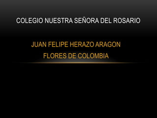 COLEGIO NUESTRA SEÑORA DEL ROSARIO


    JUAN FELIPE HERAZO ARAGON
       FLORES DE COLOMBIA
 