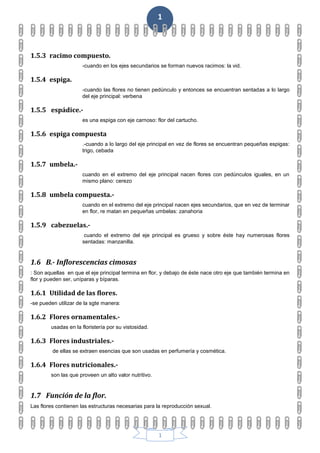 1
1
1.5.3 racimo compuesto.
-cuando en los ejes secundarios se forman nuevos racimos: la vid.
1.5.4 espiga.
-cuando las flores no tienen pedúnculo y entonces se encuentran sentadas a lo largo
del eje principal: verbena
1.5.5 espádice.-
es una espiga con eje carnoso: flor del cartucho.
1.5.6 espiga compuesta
.-cuando a lo largo del eje principal en vez de flores se encuentran pequeñas espigas:
trigo, cebada
1.5.7 umbela.-
cuando en el extremo del eje principal nacen flores con pedúnculos iguales, en un
mismo plano: cerezo
1.5.8 umbela compuesta.-
cuando en el extremo del eje principal nacen ejes secundarios, que en vez de terminar
en flor, re matan en pequeñas umbelas: zanahoria
1.5.9 cabezuelas.-
cuando el extremo del eje principal es grueso y sobre éste hay numerosas flores
sentadas: manzanilla.
1.6 B.- Inflorescencias cimosas
: Son aquellas en que el eje principal termina en flor, y debajo de éste nace otro eje que también termina en
flor y pueden ser, uníparas y bíparas.
1.6.1 Utilidad de las flores.
-se pueden utilizar de la sgte manera:
1.6.2 Flores ornamentales.-
usadas en la floristería por su vistosidad.
1.6.3 Flores industriales.-
de ellas se extraen esencias que son usadas en perfumería y cosmética.
1.6.4 Flores nutricionales.-
son las que proveen un alto valor nutritivo.
1.7 Función de la flor.
Las flores contienen las estructuras necesarias para la reproducción sexual.
 