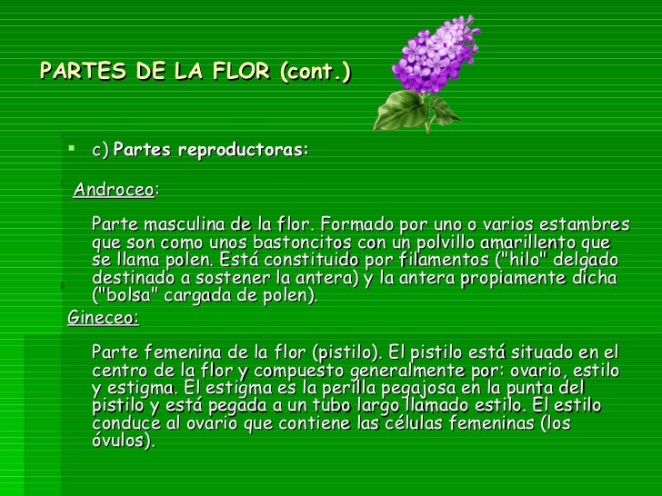 LAS FLORES, sus partes y funciones