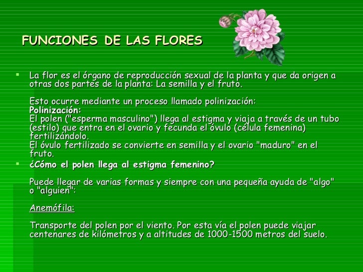 LAS FLORES, sus partes y funciones