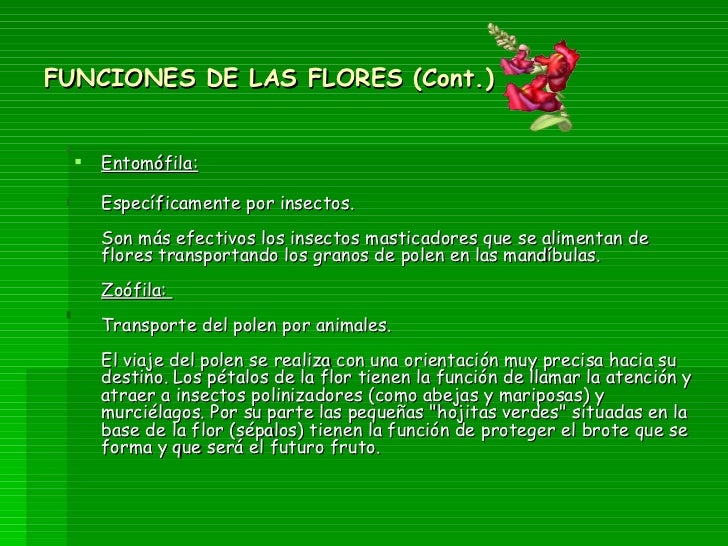 LAS FLORES, sus partes y funciones LAS FLORES, sus partes y funciones