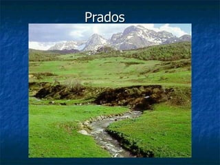 Prados  