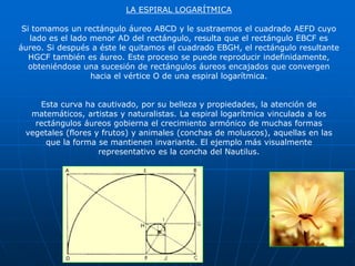 LA ESPIRAL LOGARÍTMICA 
Si tomamos un rectángulo áureo ABCD y le sustraemos el cuadrado AEFD cuyo 
lado es el lado menor AD del rectángulo, resulta que el rectángulo EBCF es 
áureo. Si después a éste le quitamos el cuadrado EBGH, el rectángulo resultante 
HGCF también es áureo. Este proceso se puede reproducir indefinidamente, 
obteniéndose una sucesión de rectángulos áureos encajados que convergen 
hacia el vértice O de una espiral logarítmica. 
Esta curva ha cautivado, por su belleza y propiedades, la atención de 
matemáticos, artistas y naturalistas. La espiral logarítmica vinculada a los 
rectángulos áureos gobierna el crecimiento armónico de muchas formas 
vegetales (flores y frutos) y animales (conchas de moluscos), aquellas en las 
que la forma se mantienen invariante. El ejemplo más visualmente 
representativo es la concha del Nautilus. 
 