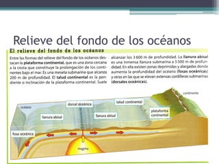 Relieve del fondo de los océanos
 